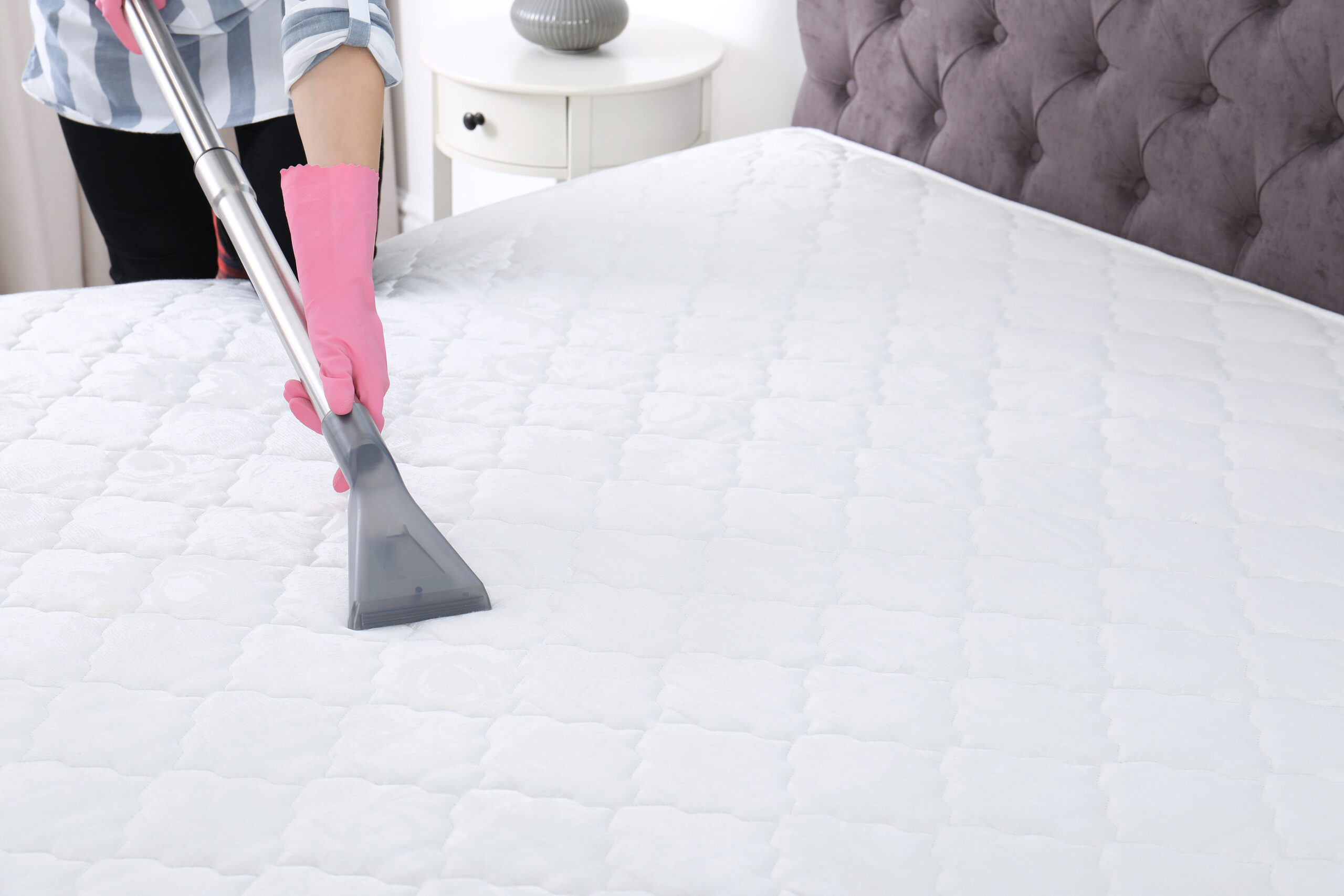 Carpet & Mattress Cleaning Services