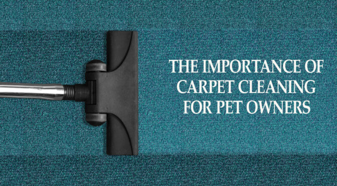 The Importance Of Carpet Cleaning For Pet Owners