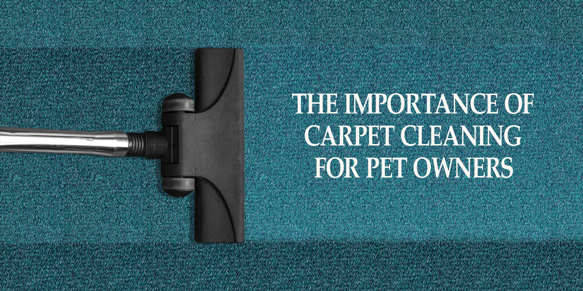 Carpet Cleaning