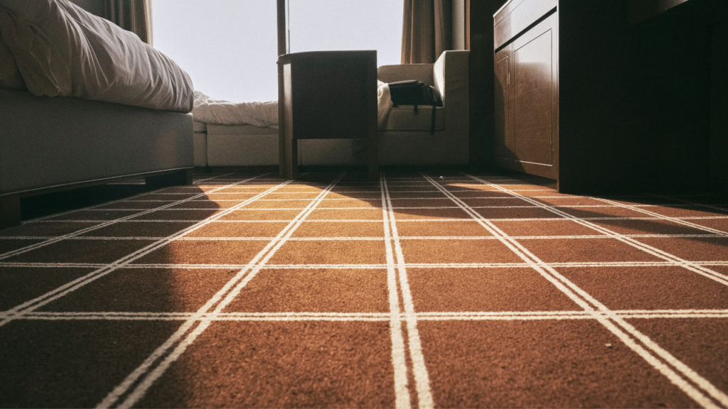 Carpet Cleaning Services Mississauga
